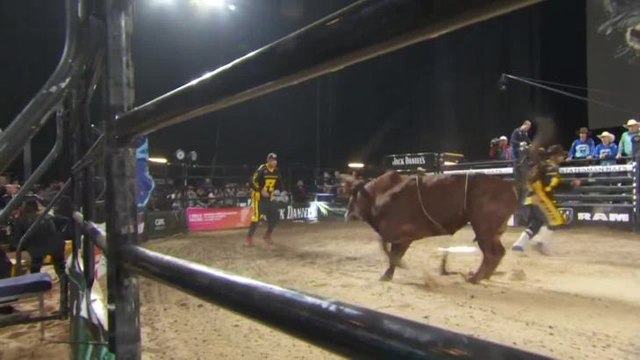 NEWSFEED PBR ORIGIN