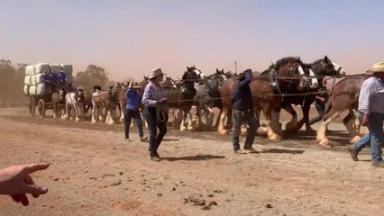 Barellan good old days 2019