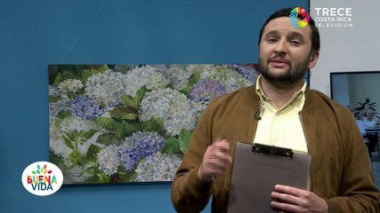 Buena Vida - Le contamos qué debe hacer para conseguir su pensión.