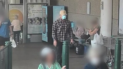 Warringah Mall snatch and grab jewellery heist