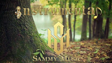 Ambiental Music  -  Uso Libre