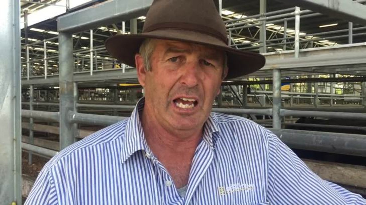 2018-11-Colac store sale wrap