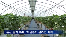 논산 딸기 축제, 오는 23일부터 온라인 개최