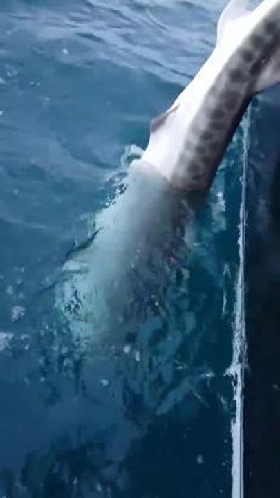 Esperance Express - fish release