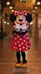 Disneyland Fans Chaine #14