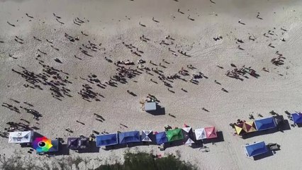 NSW IRB Championships