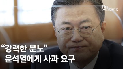 대선 한복판 뛰어든 文…野 "울고싶던 靑, 尹이 뺨 때려준 셈"