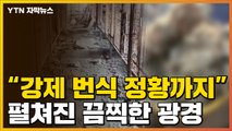[자막뉴스] 곳곳에서 발견되는 사체들...이 곳은 '지옥'이었다 / YTN
