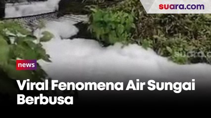 Fenomena Air Sungai Berbusa di Kabupaten Gowa, Kapolsek Parangloe Sebut Sumbernya Dari Pohon Rambutan