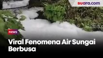 Fenomena Air Sungai Berbusa di Kabupaten Gowa, Kapolsek Parangloe Sebut Sumbernya Dari Pohon Rambutan