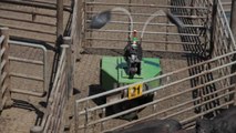Farm Online - Cargill 2018 Robotic Cattle Driver Video