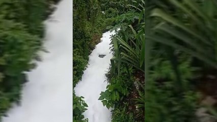 Sempat Gegerkan Warga, Air Busa dari Gunung di Gowa Kembali Jernih