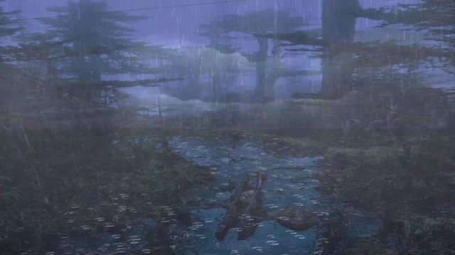 Rain and thunder strong in night swamp forest - Beautiful landscape in the rainforest