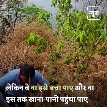 Watch How Indian Army Rescues A Trekker Stranded On A Cliff In Kerala