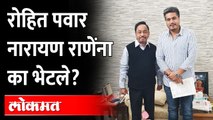 ही' मागणी नक्की पूर्ण करतो...खुद्द राणेंनी पवारांना काय आश्वासन दिलं? Rohit Pawar Meet Narayan Rane
