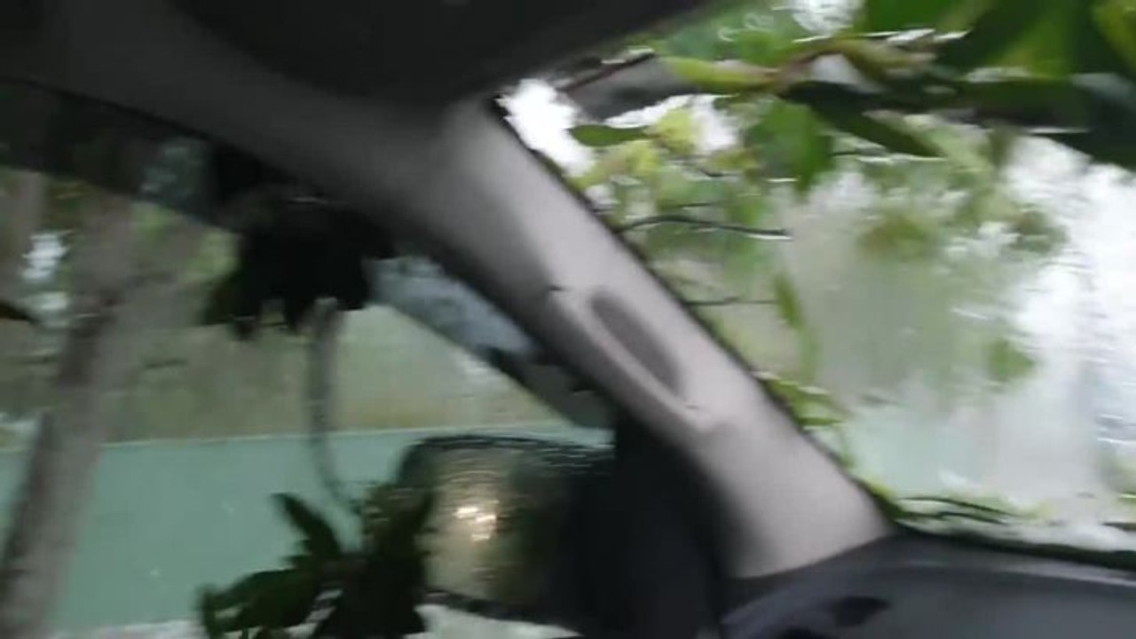 hail video