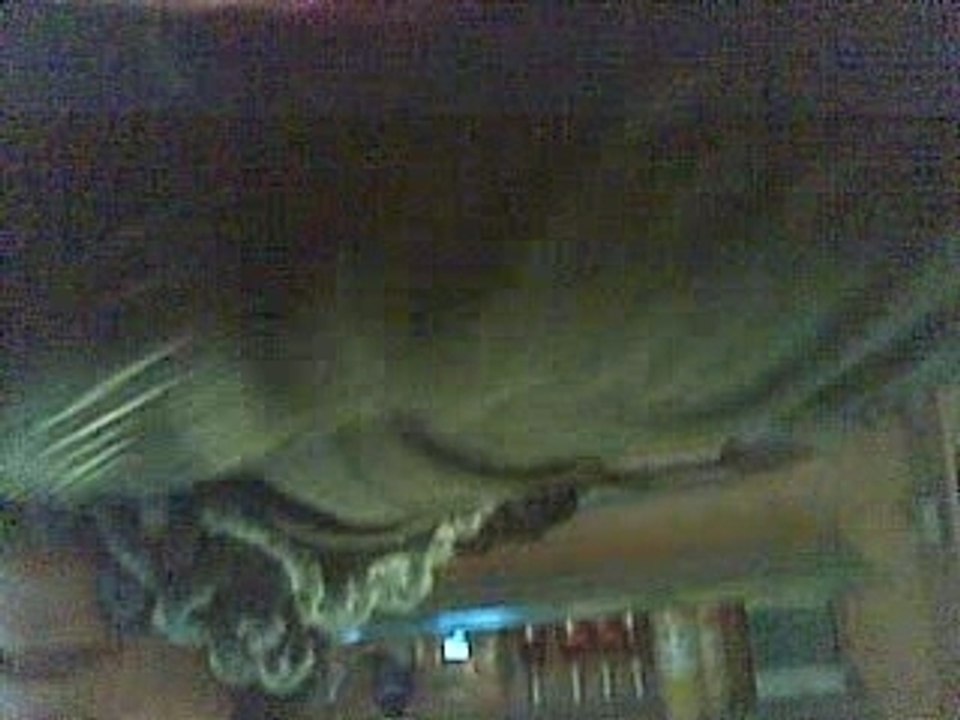 Kaliti