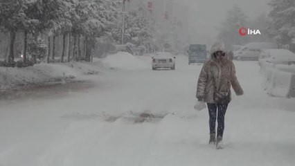Ahlat'ta yoğun kar yağışı