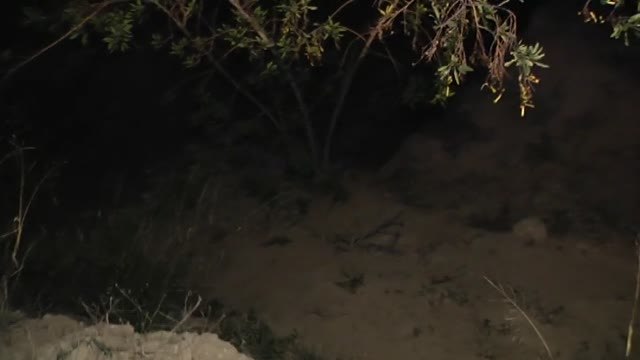 Un hombre encuentra en Elche los cadáveres de una pareja que podrían llevar muertos tres años