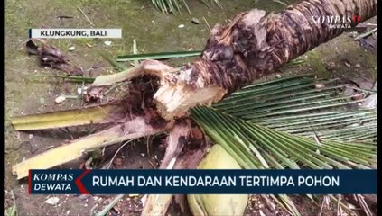 Rumah Dan Kendaraan Tertimpa Pohon
