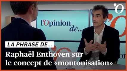 Raphaël Enthoven: «La ‘moutonisation’ est dénoncée par des gens qui se déplacent en troupeau»