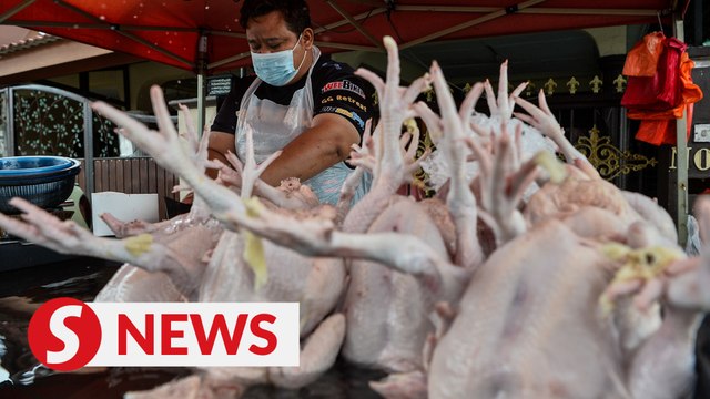 Minister hopes subsidies to poultry farmers will stabilise egg and chicken supply