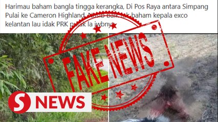 Claim that man was eaten by a tiger is fake, say Perak cops