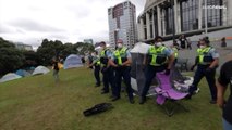 Разгон акции протеста и 120 арестов в Веллингтоне