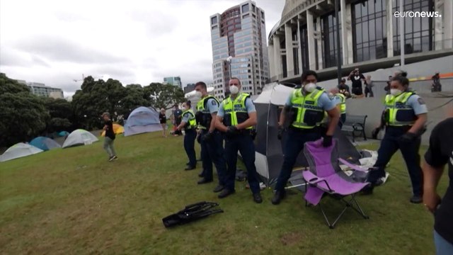 Разгон акции протеста и 120 арестов в Веллингтоне