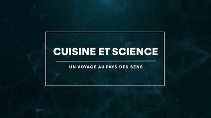 Cuisine et science : un voyage au pays des sens