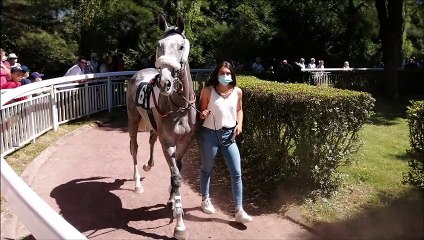 Pronostic Quinté PMU du vendredi 11 février 2022