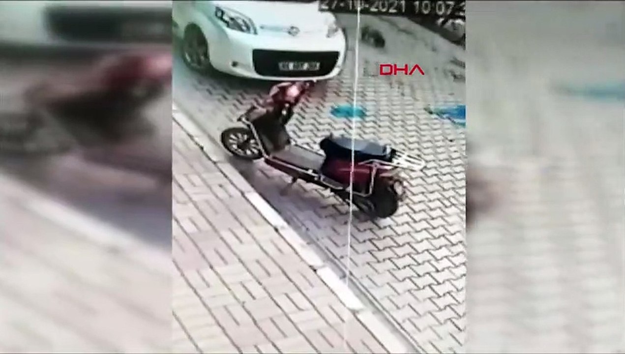 Sürücü yavru köpeği bilerek ezdi