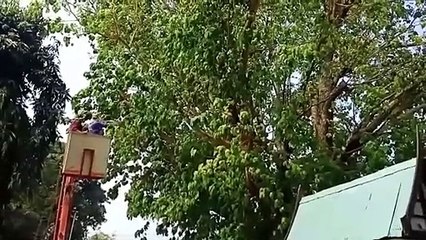 อ่างทอง แตนบุกเจ้าหน้าที่นำทีมงานฉีดพ่นยาฆ่าแมลงในอาคารโรงเรียนวัดรุ้ง