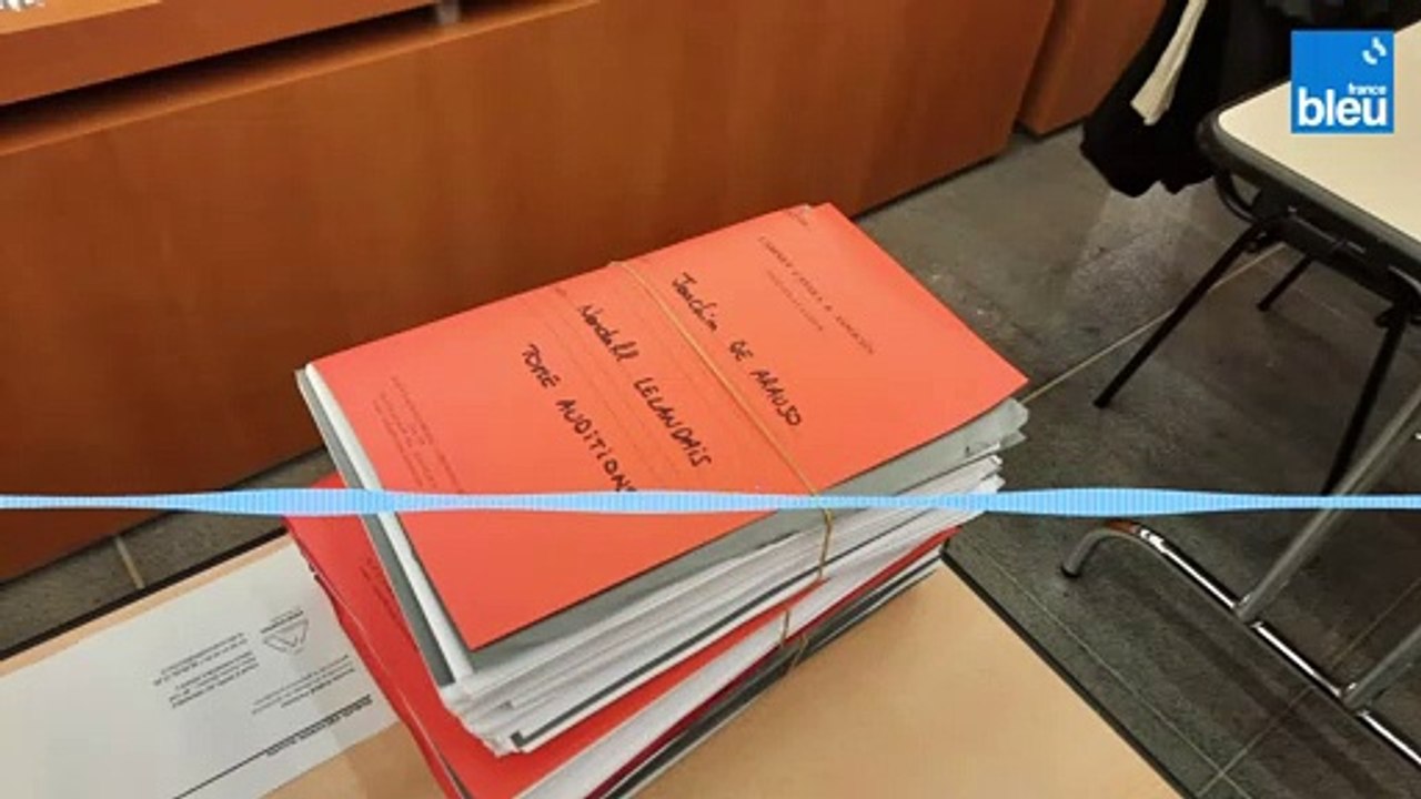 Deux mèches brunes de Maëlys ont "forcément été coupées par un objet tranchant ou coupant, ciseaux ou couteau"