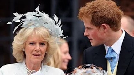 GB News: Expert warns Harry's silence over 'Queen Camilla' shows 'negative' feelings