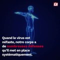 CAM - D'où viennent les virus