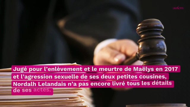 Pourquoi Nordahl Lelandais a-t-il détruit son téléphone ?