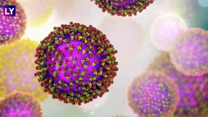 Monkey Fever in Kerala:24 वर्षीय व्यक्तीला कायसनूर फॉरेस्ट डिसीजने ग्रासले, रुग्णावर उपचार सुरु, पाहा काय आहे \"माकड ताप\"