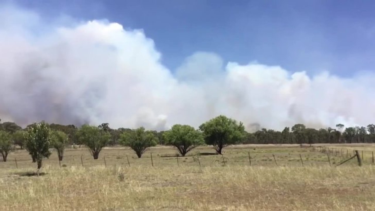 Tingha fire