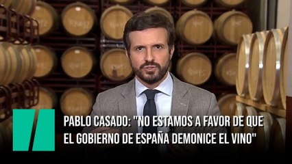 Pablo Casado: "No estamos a favor de que el Gobierno de España demonice el vino"