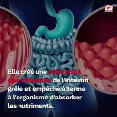 CAM - Faut-il manger sans gluten ?