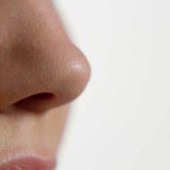 CAM Pourquoi a t-on le nez froid ?