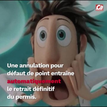 CAM - Tout savoir sur le retrait du permis de conduire.