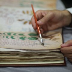 CAM Le mystère dévoilé du manuscrit de Voynich