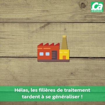 CAM Fausse Bonne Idée Verte Les sacs biodégradables