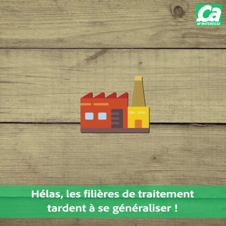 CAM Fausse Bonne Idée Verte Les sacs biodégradables