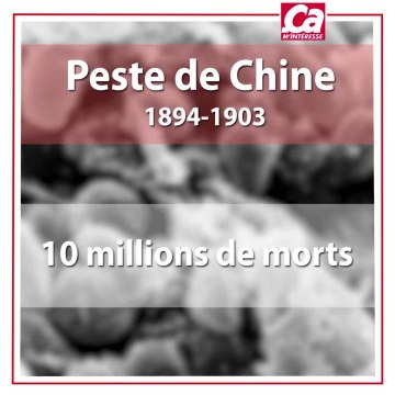 Les 10 épidémies les plus meurtrières au monde