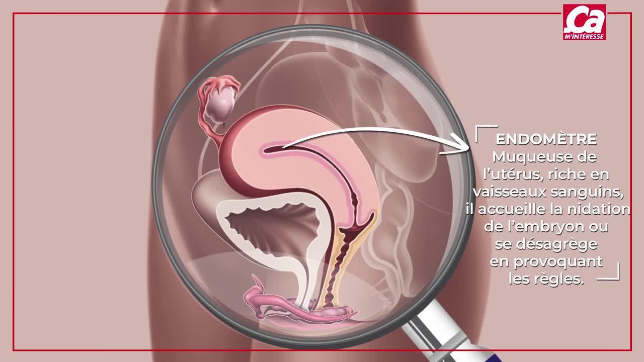 Quelles sont les causes d'une sécheresse intime ?