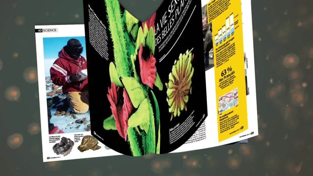 Sommaire novembre Ca Minteresse