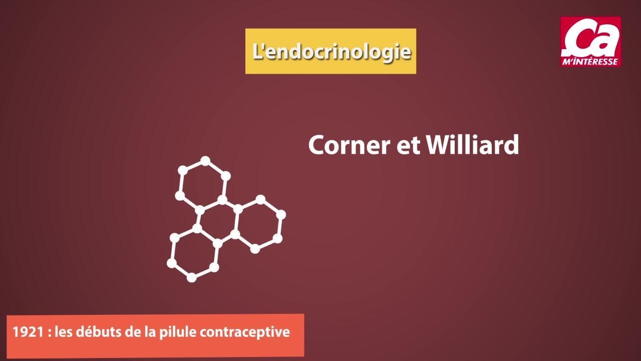endocrinologie export 2